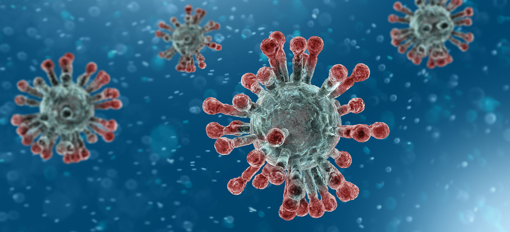 COVID-19 Spore Image